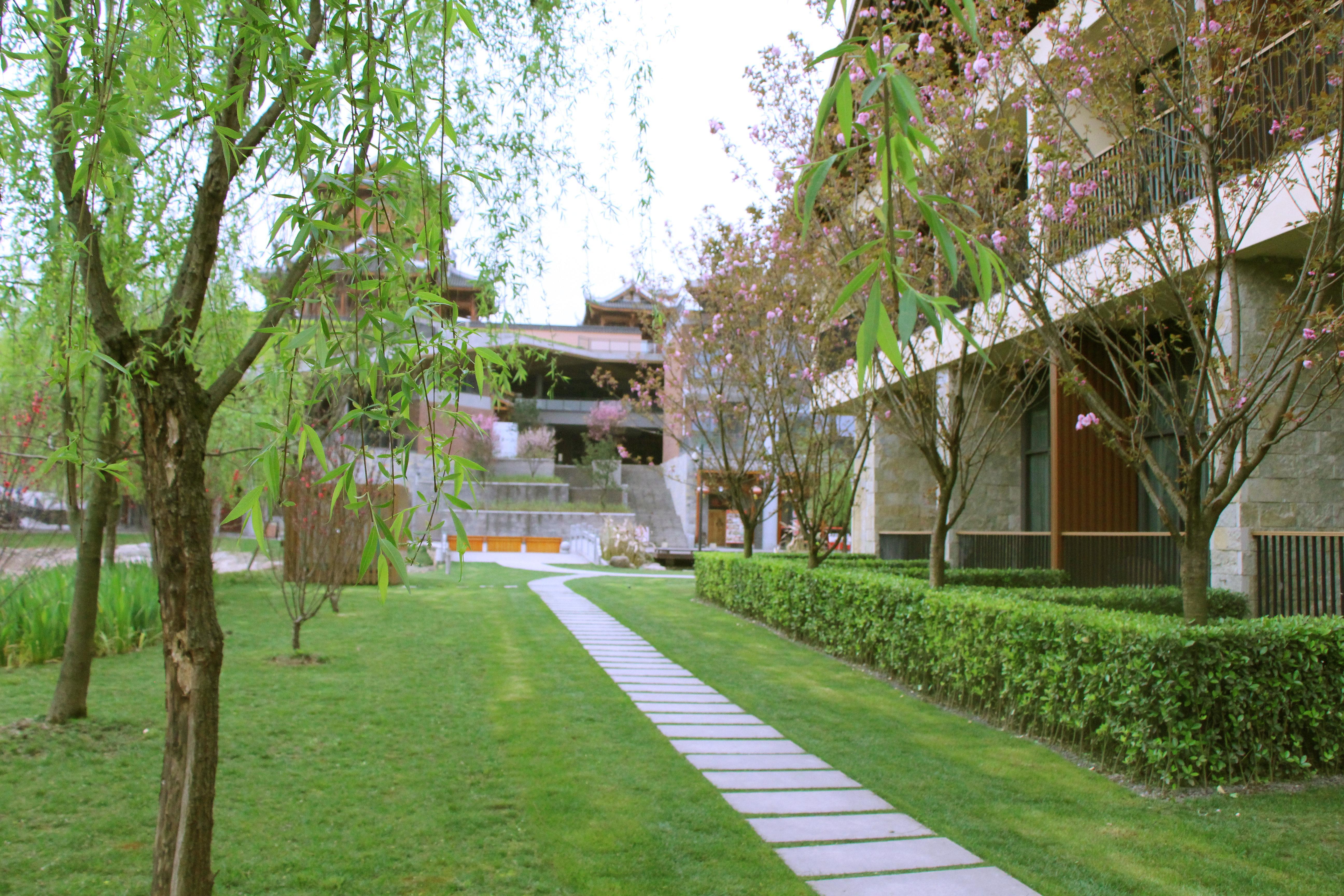 Holiday Inn Express Emei Mountain By Ihg Emei Shan Eksteriør billede
